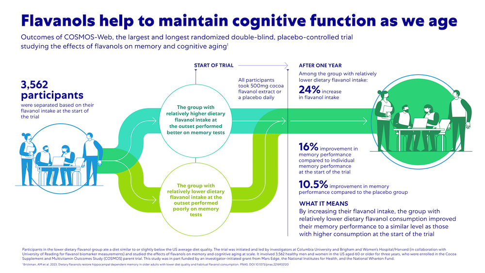 Flavanols help to maintain cognitive function as we age