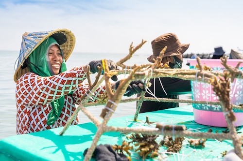 A team member of The Big Build smiling and assembling reef star