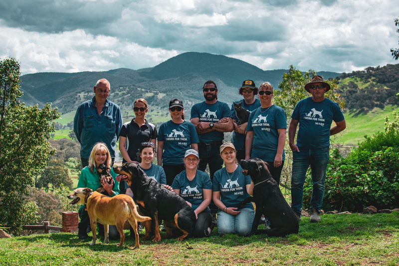 Mars Volunteer Program