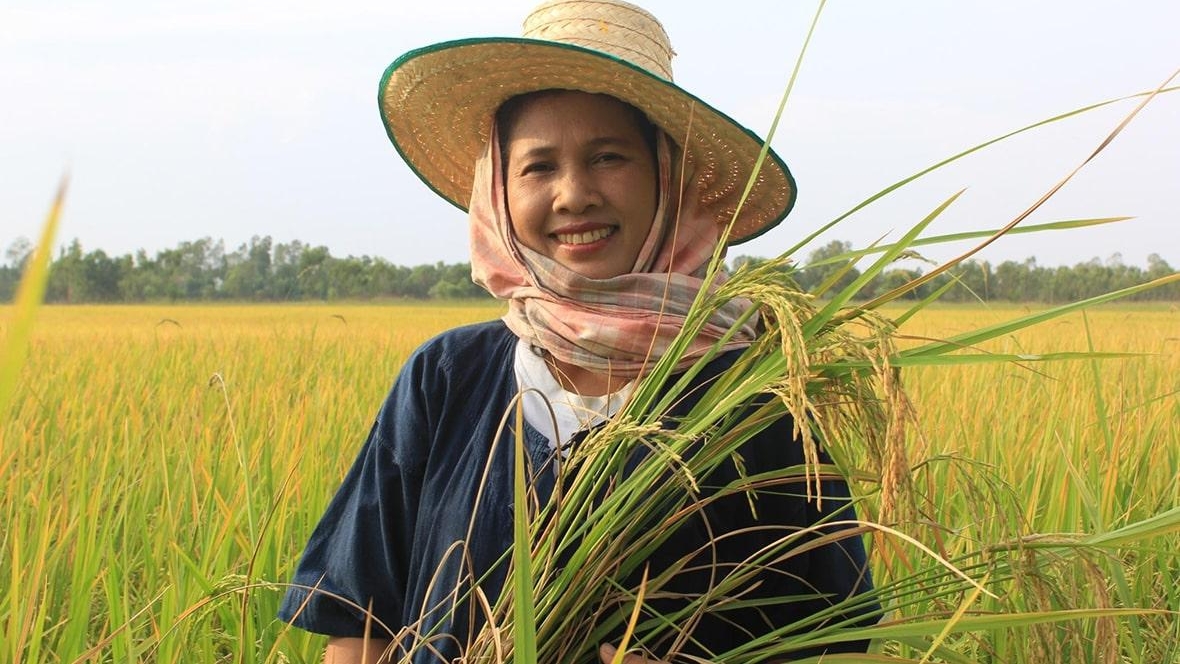 A woman in a field