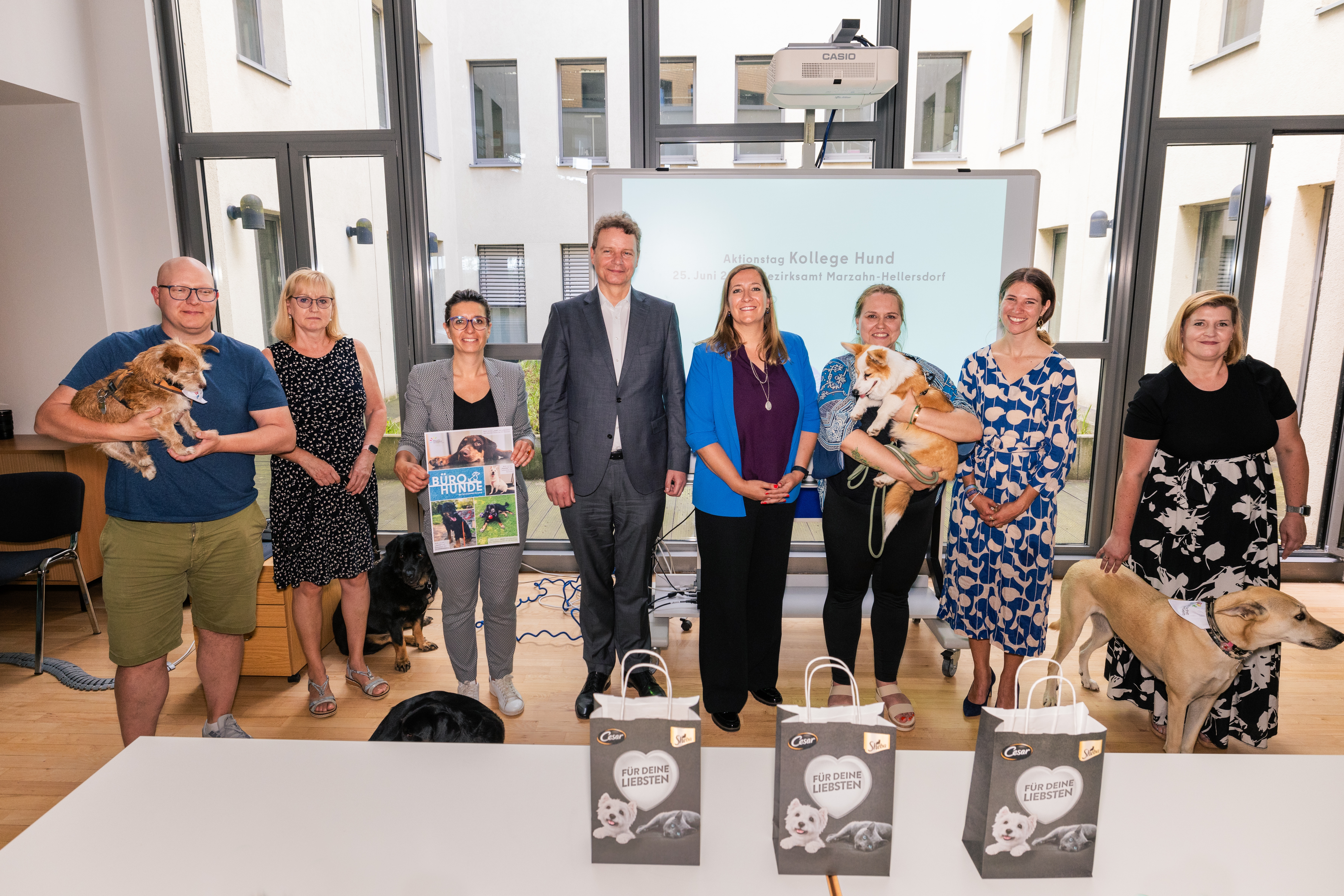 Mars_Petcare_PM_Kollege_Hund_Bild_2
