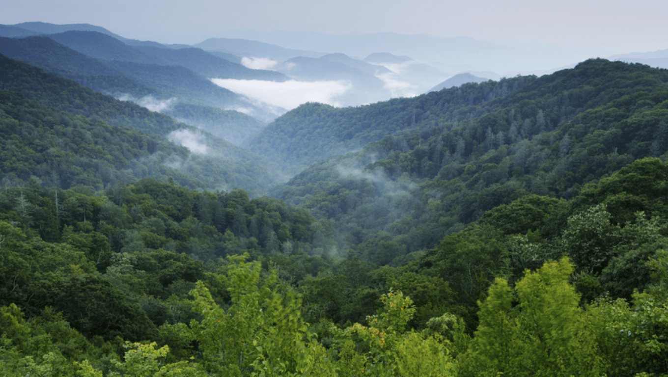 Sustainability Healthy Planet Land Management Deforestation