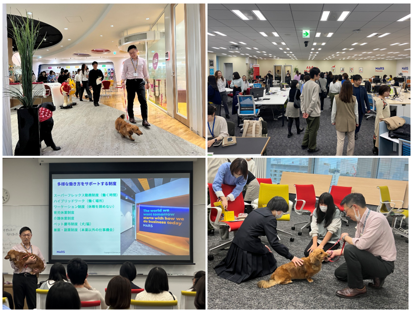 CDS event