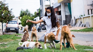 Ending Pet Homelessness