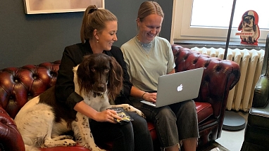 Kollege Hund quer