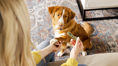 Woman giving her dog a Greenie 