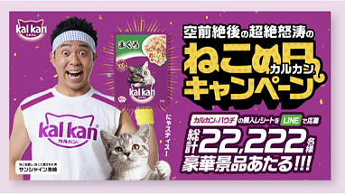 メインイメージ用_カルカン猫の日KV（プレスリリース用） banner
