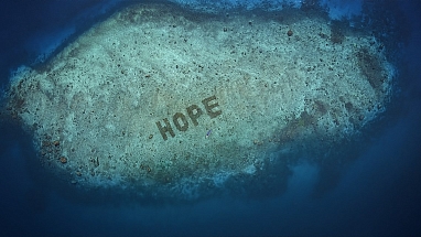 SHEBA® Hope Reef