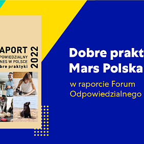 RaportFOB