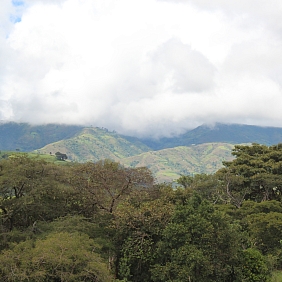 sustainability_healthy_planet_land_management_yirgacheffe_valley_drinks_coffee.jpg